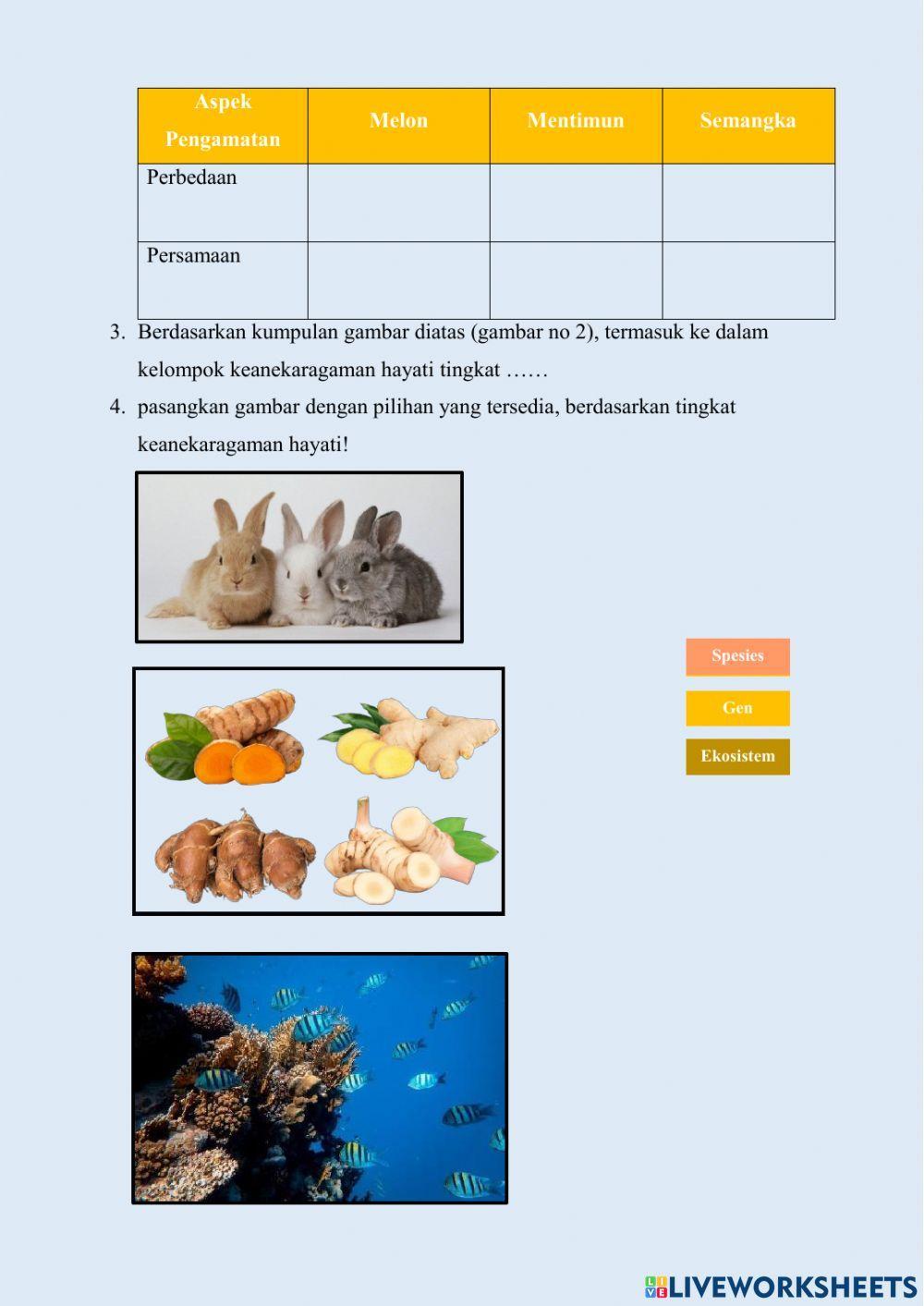 LKPD Materi Tingkat Keanekaragaman Hayati