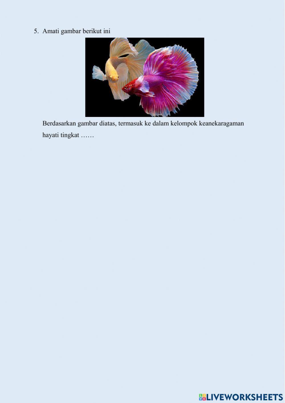 LKPD Materi Tingkat Keanekaragaman Hayati