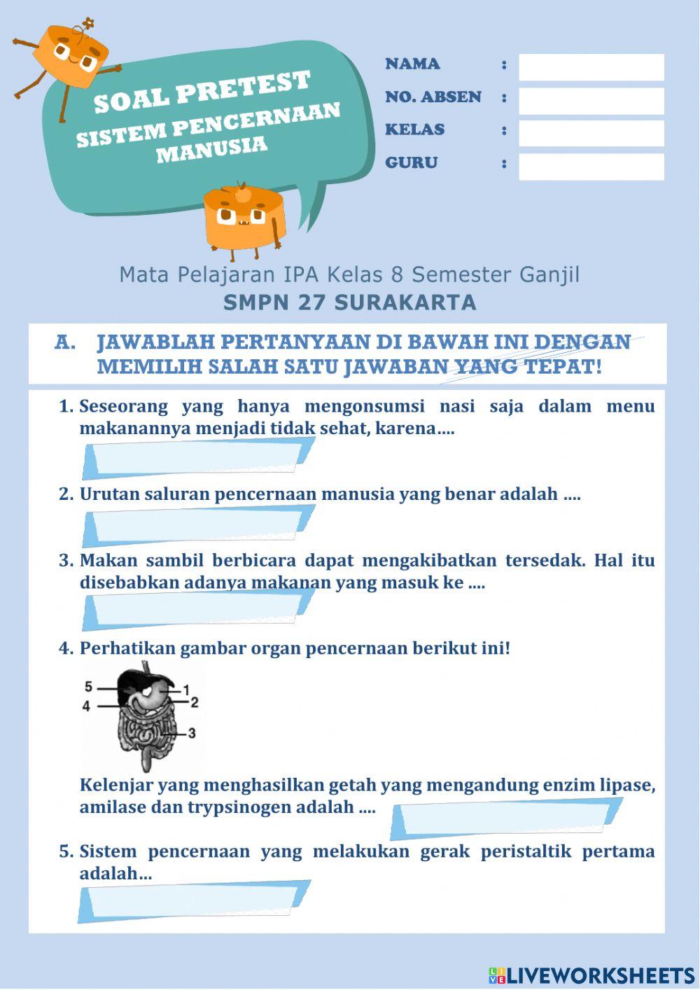 Pretest bab sistem pencernaan manusia