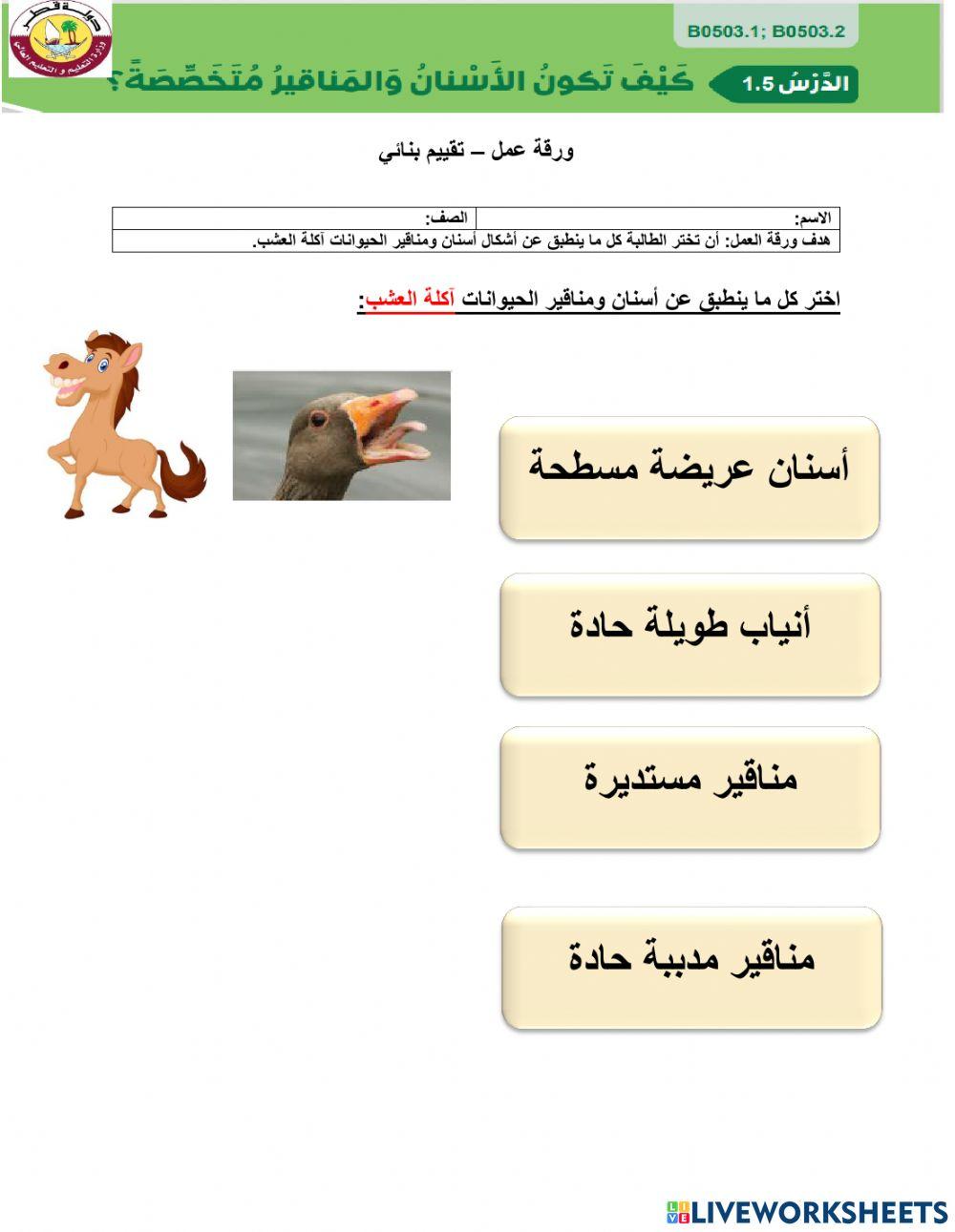 كيف تكون الاسنان والمناقير متخصصة