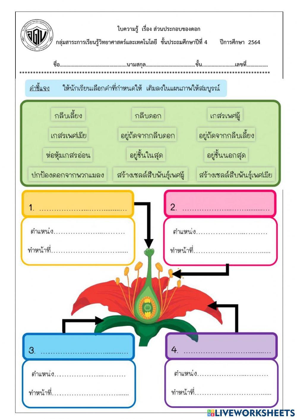 ส่วนประกอบของดอก