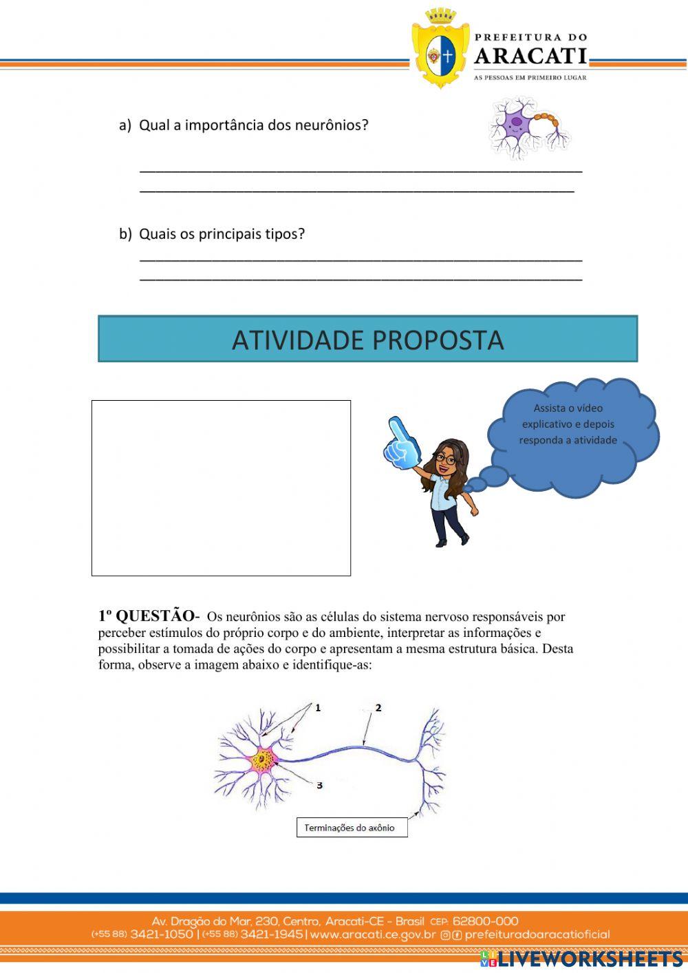Atividade sobre sistema nervoso
