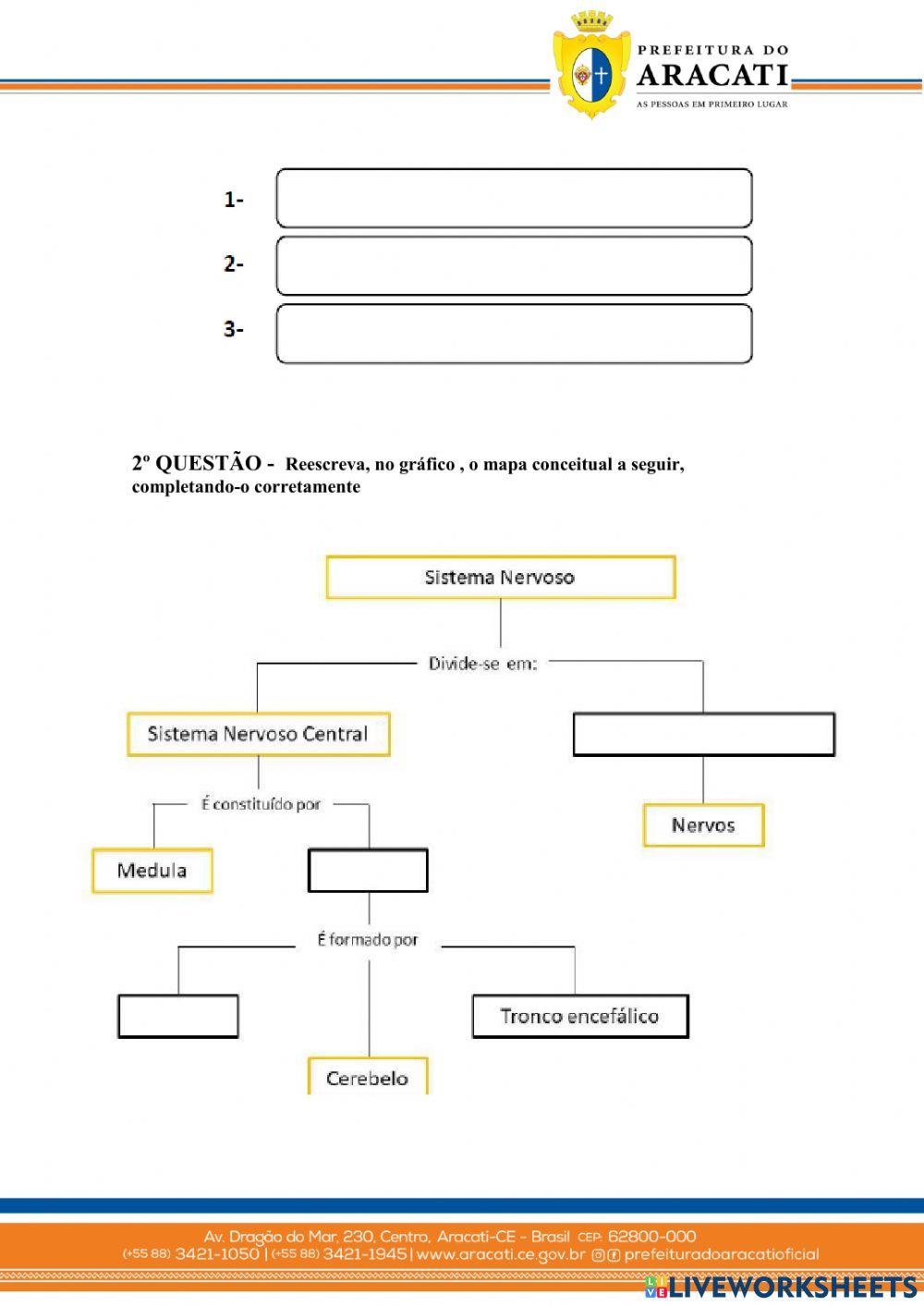 Atividade sobre sistema nervoso