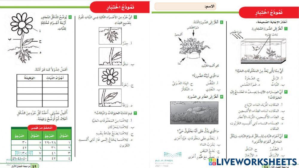 نموذج اختبااااارثالث