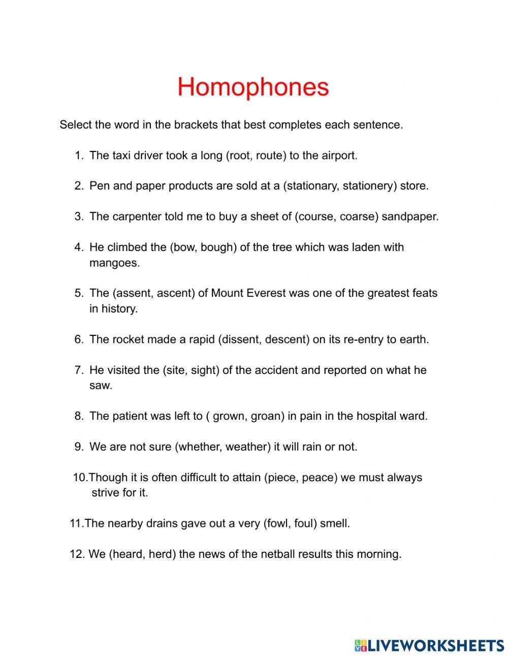 Vocabulary- Homophones