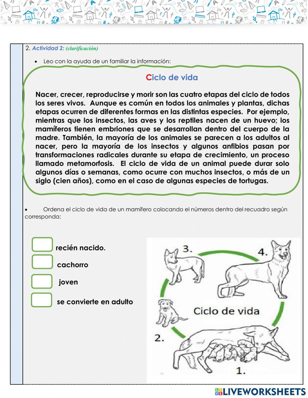 GTA 3 Etapas del desarrollo seres vivos