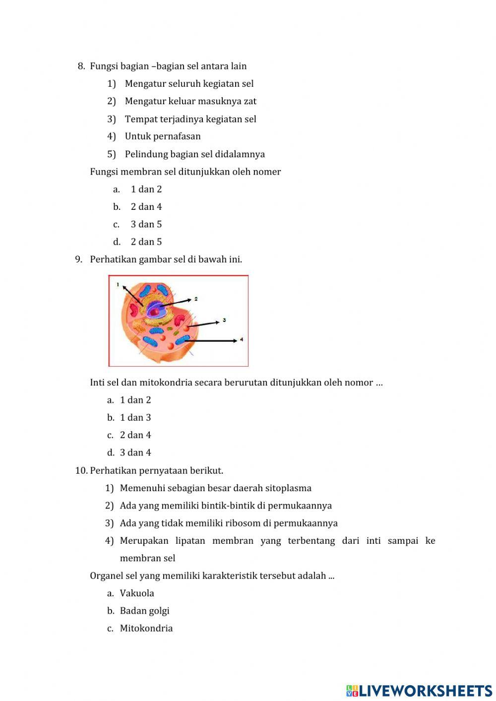 Uji kompetensi materi sel