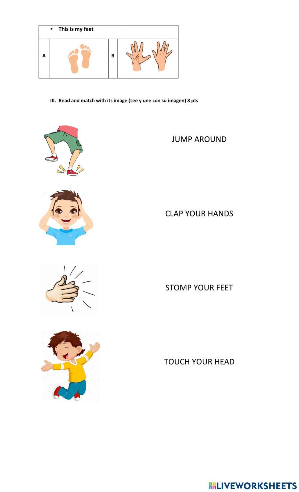 Test unit 3: my body