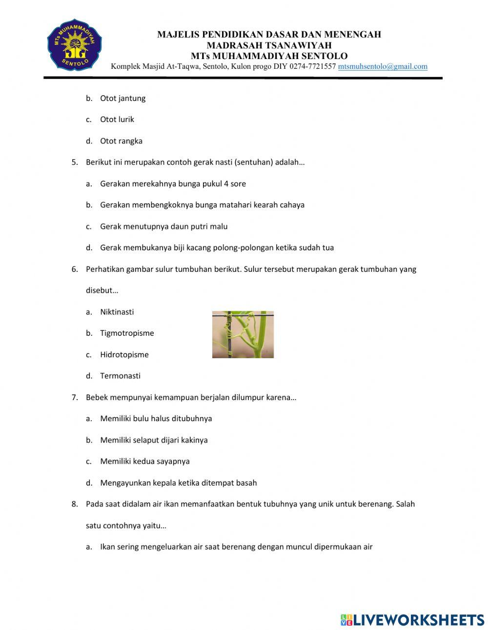 Penilaian Tengah Semester IPA Kelas 8