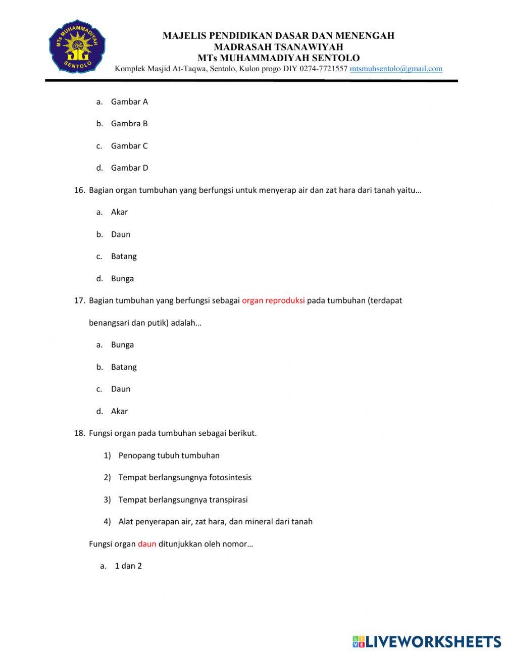 Penilaian Tengah Semester IPA Kelas 8