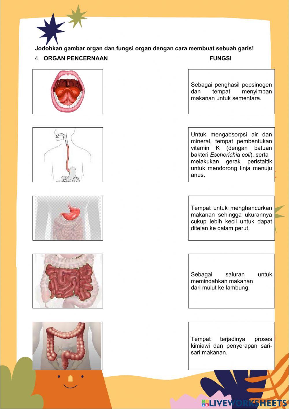 Kelas 5, Tema 3, Subtema 1, Pembelajaran 5