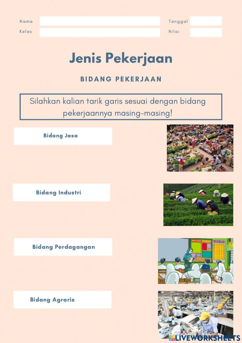 Berbagai Bidang Pekerjaan