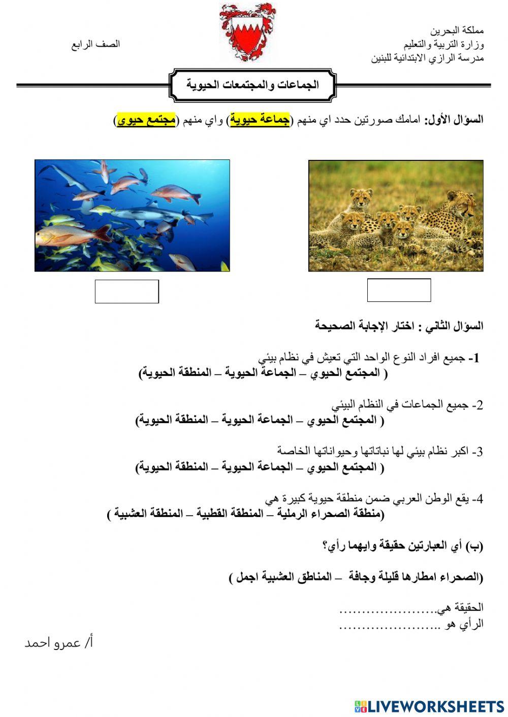 الجماعات والمجتمعات الحيوية