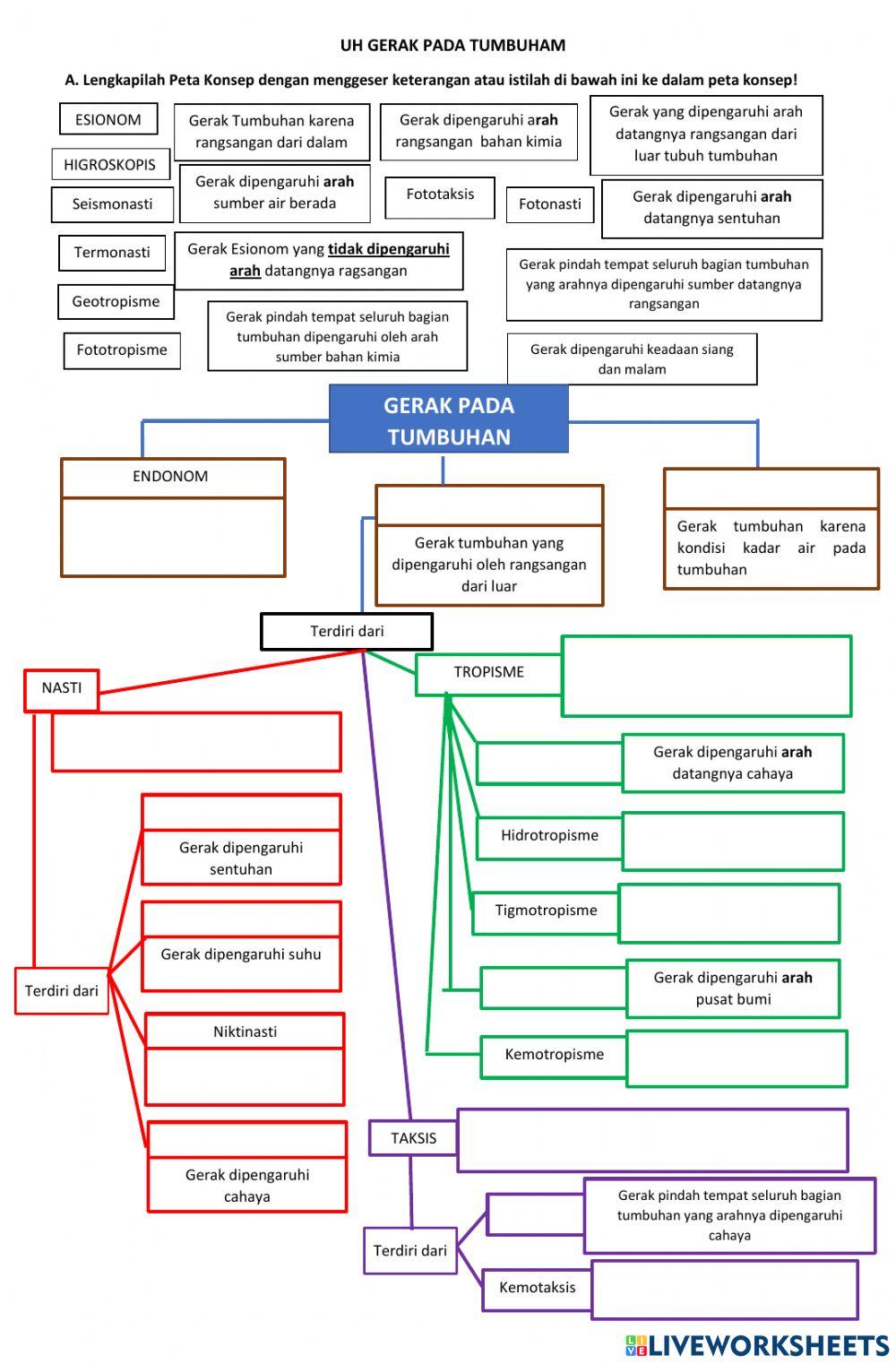 UH IPA Gerak Tumbuhan Kelas 8 Sem 1