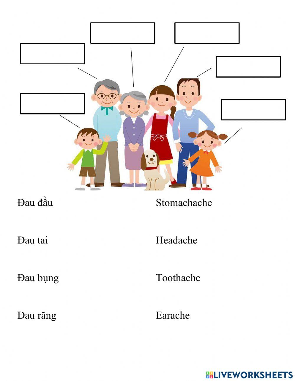 English Movers Vocab Health and Family