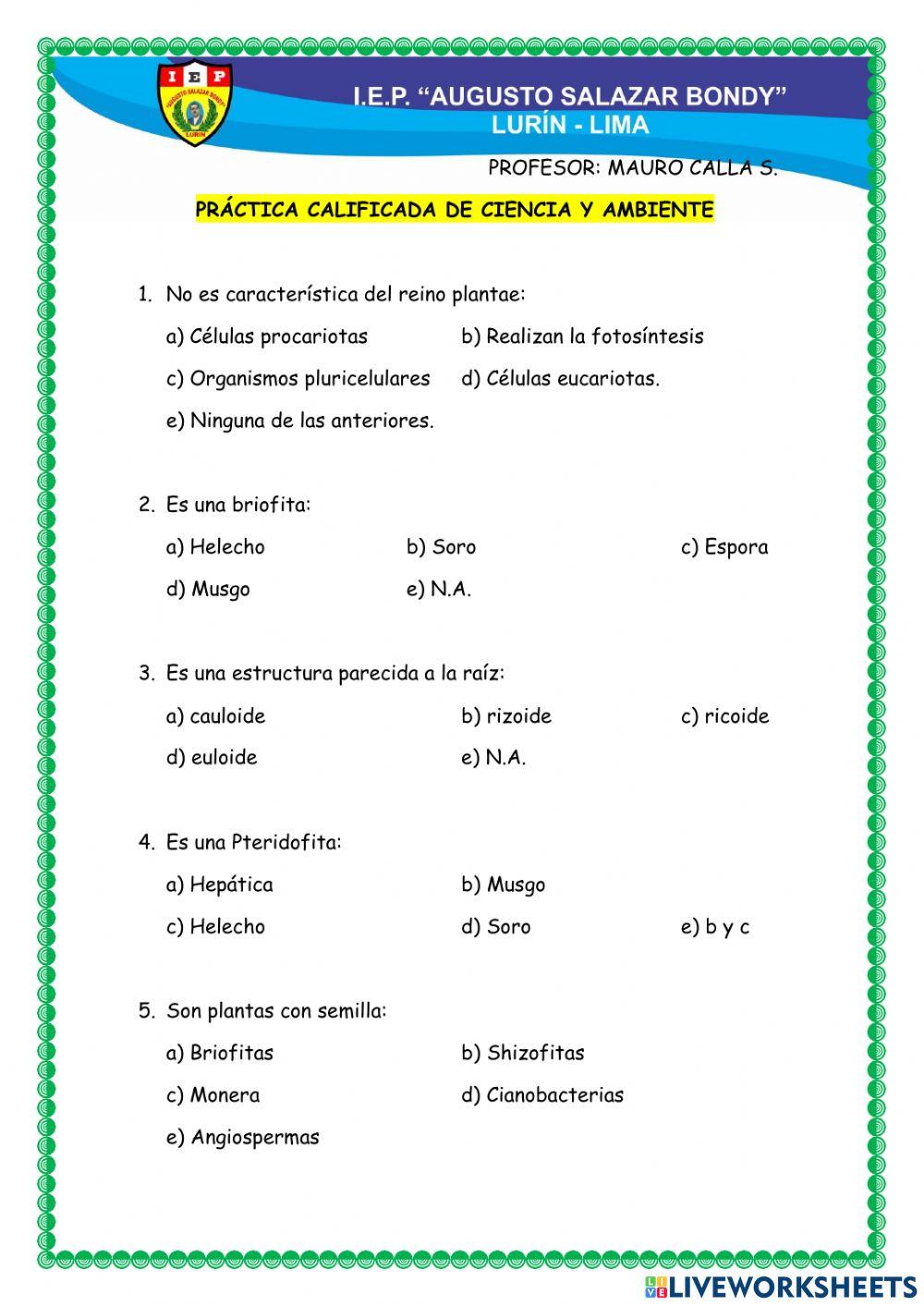 Reino de las plantas