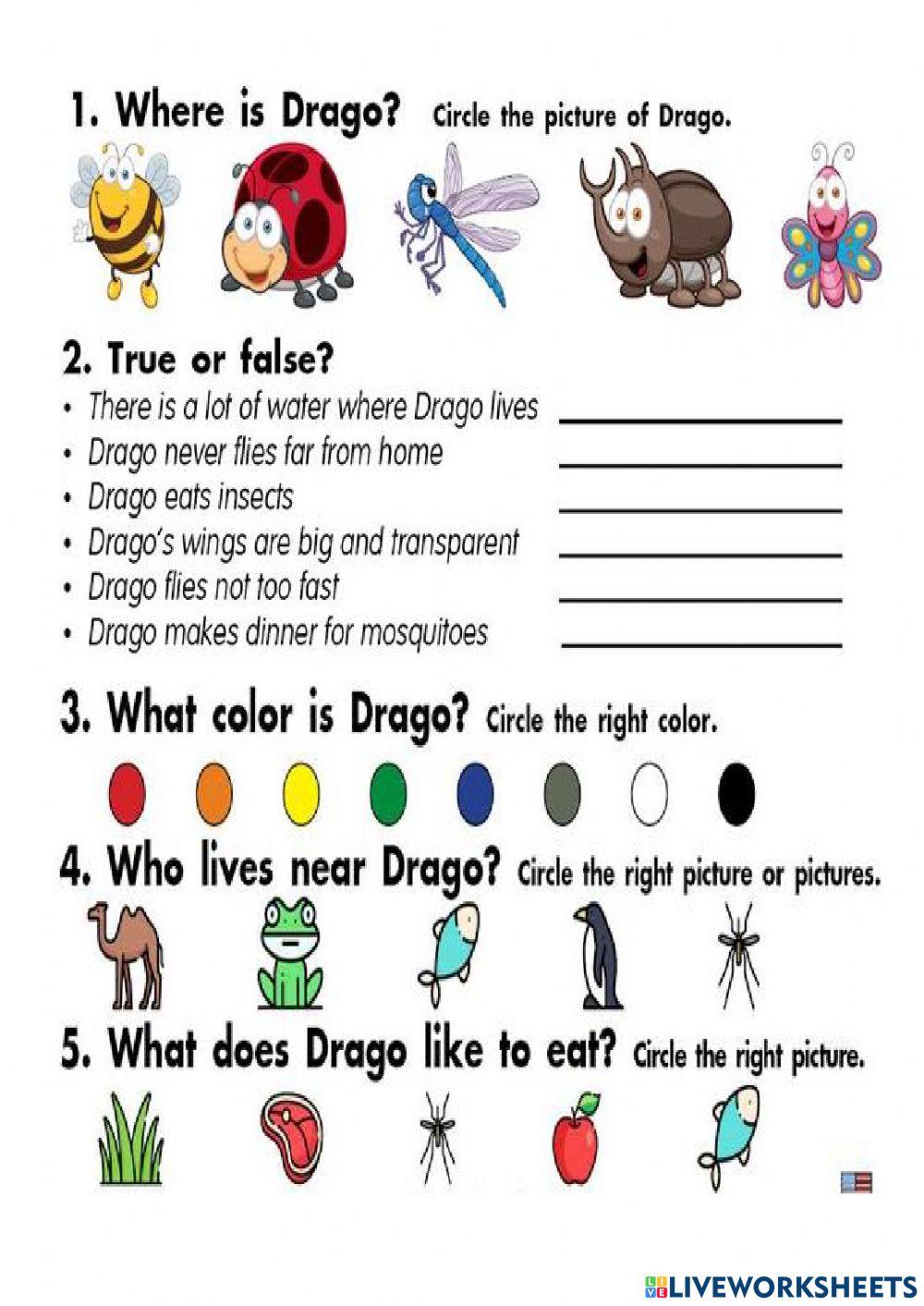 Reading Comprehension Worksheet