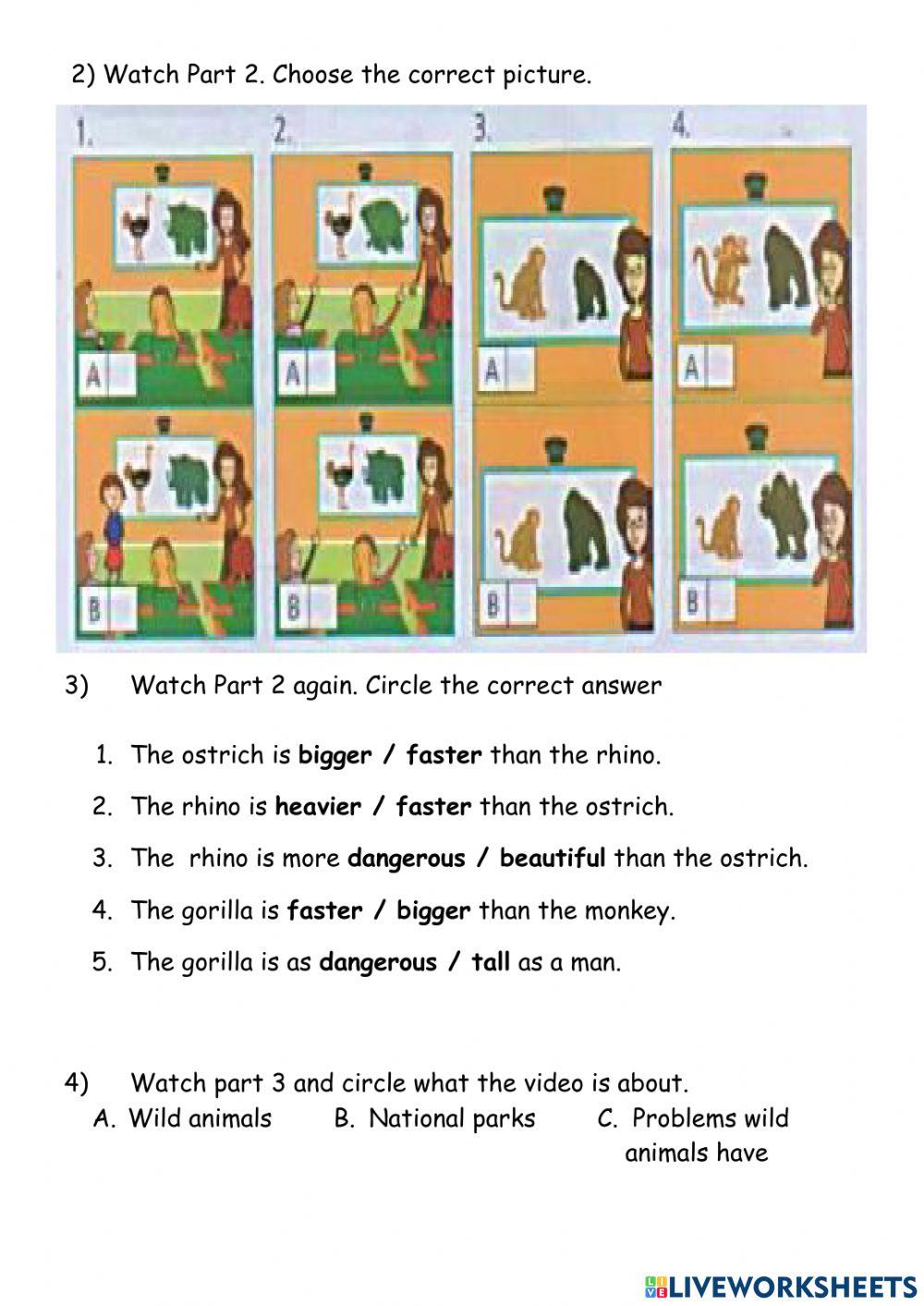 Video worksheets: Amazing Animals