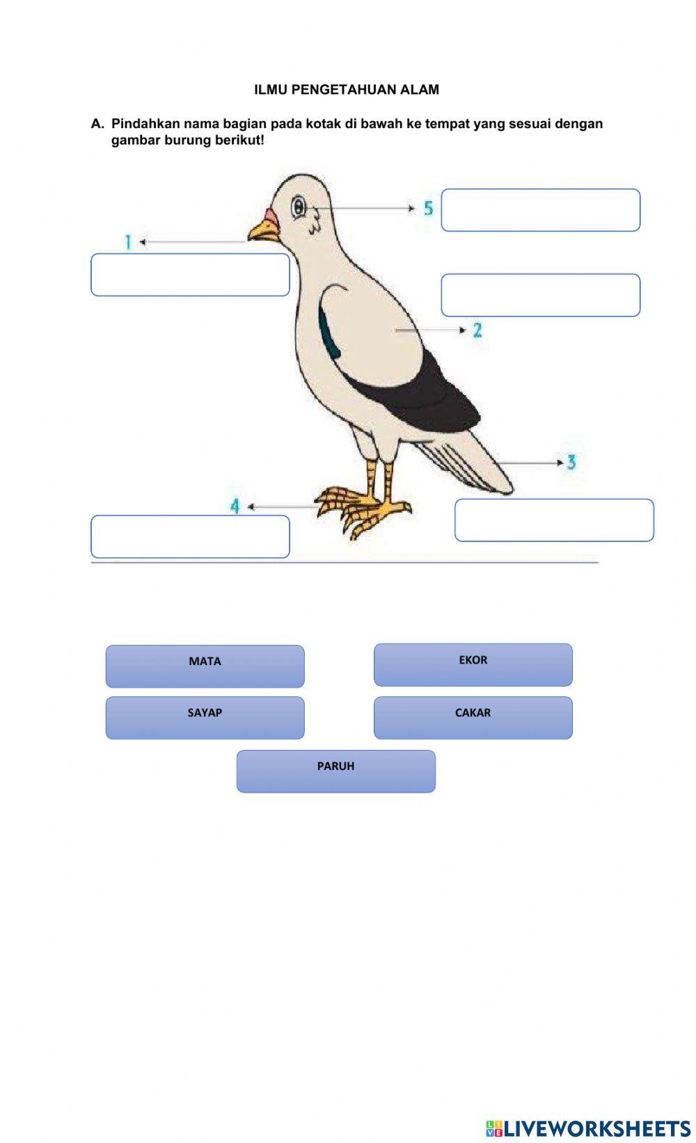 Tema 3 Subtema 2 Pembelajaran 3