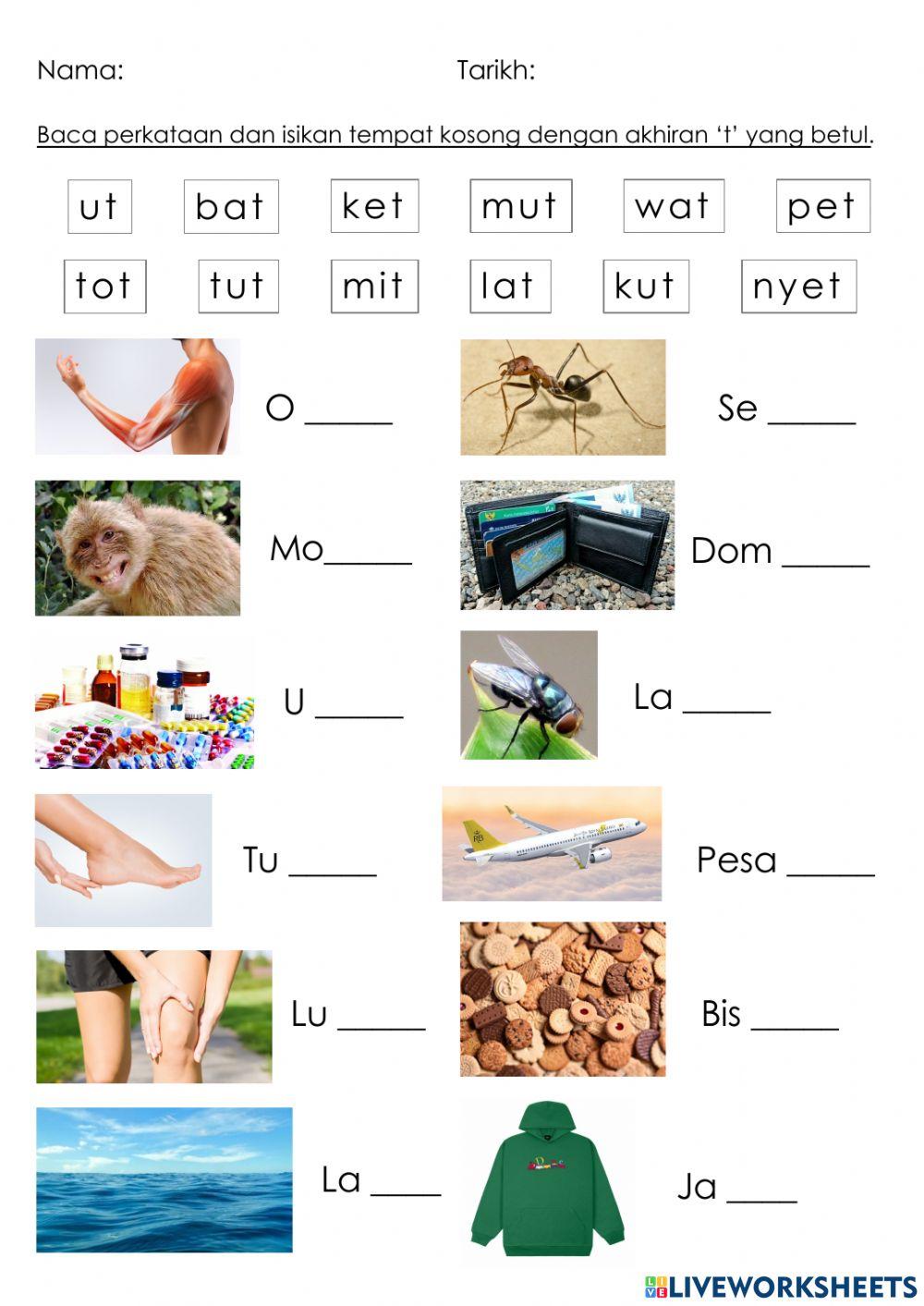 Akhiran t worksheet | Live Worksheets