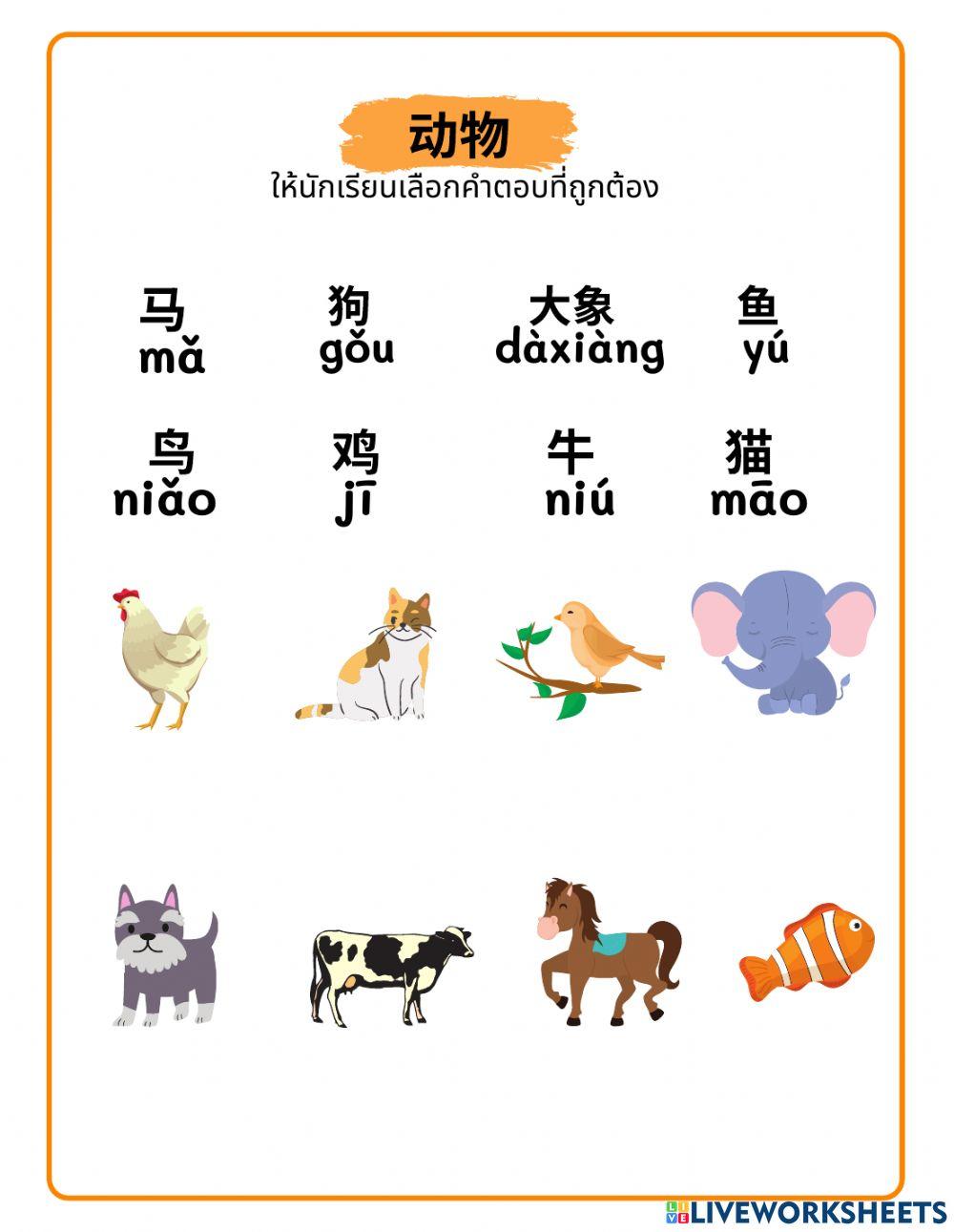 ภาษาจีน เรื่องสัตว์