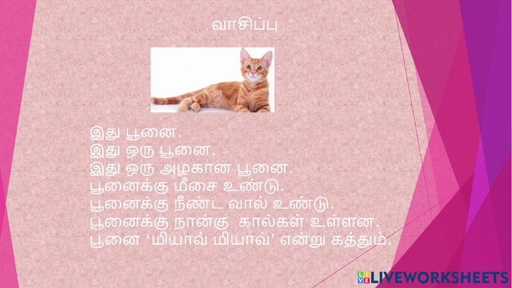 கிரந்த எழுத்துகள்