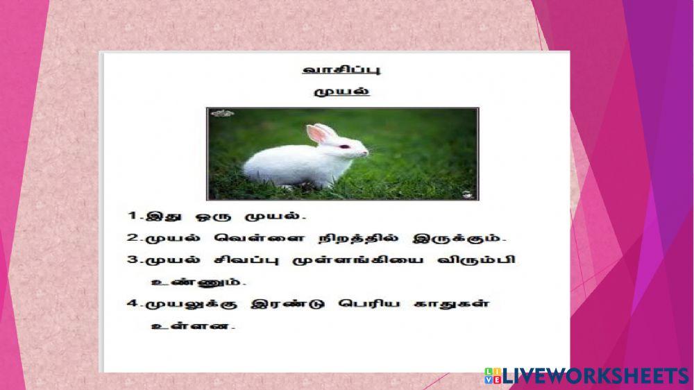 கிரந்த எழுத்துகள்