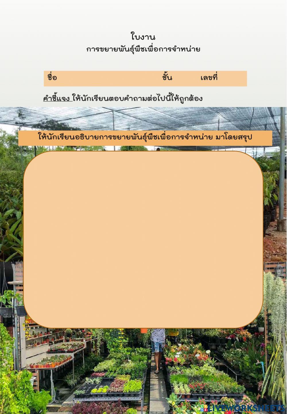 ใบงาน การขยายพันธุ์พืชเพื่อจำหน่าย