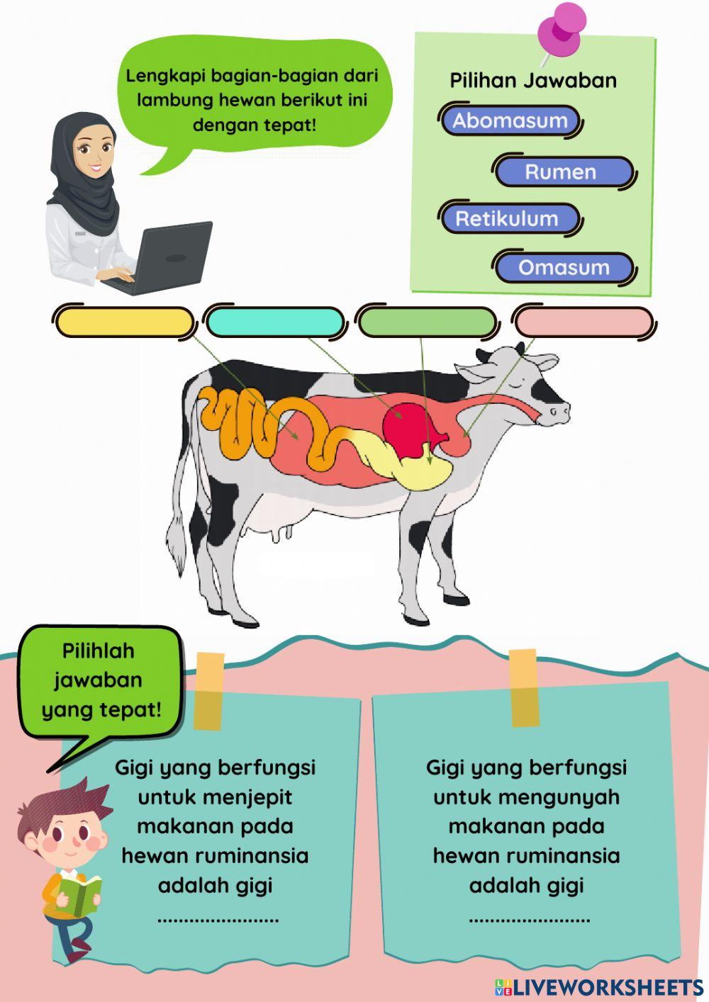 E-LKPD IPA Kelas 5 Tema 3 Sub 1
