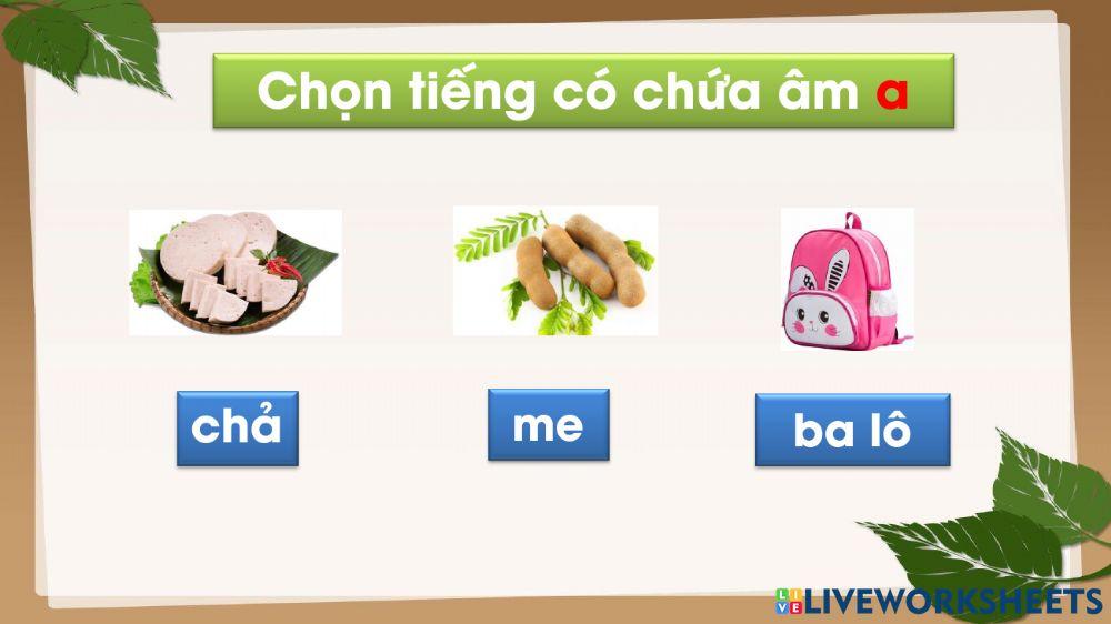 Vui cùng chữ A
