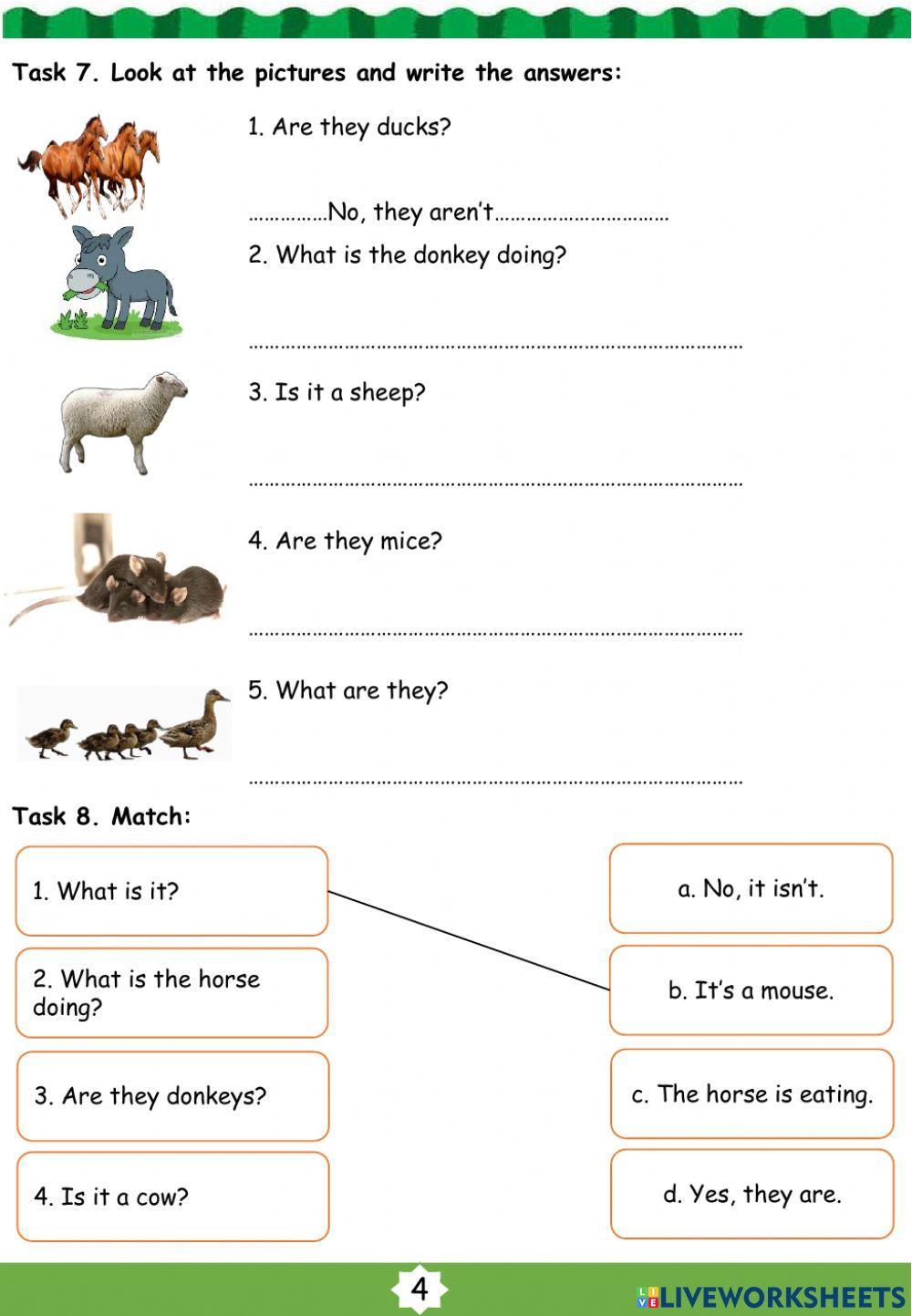Academy stars starters