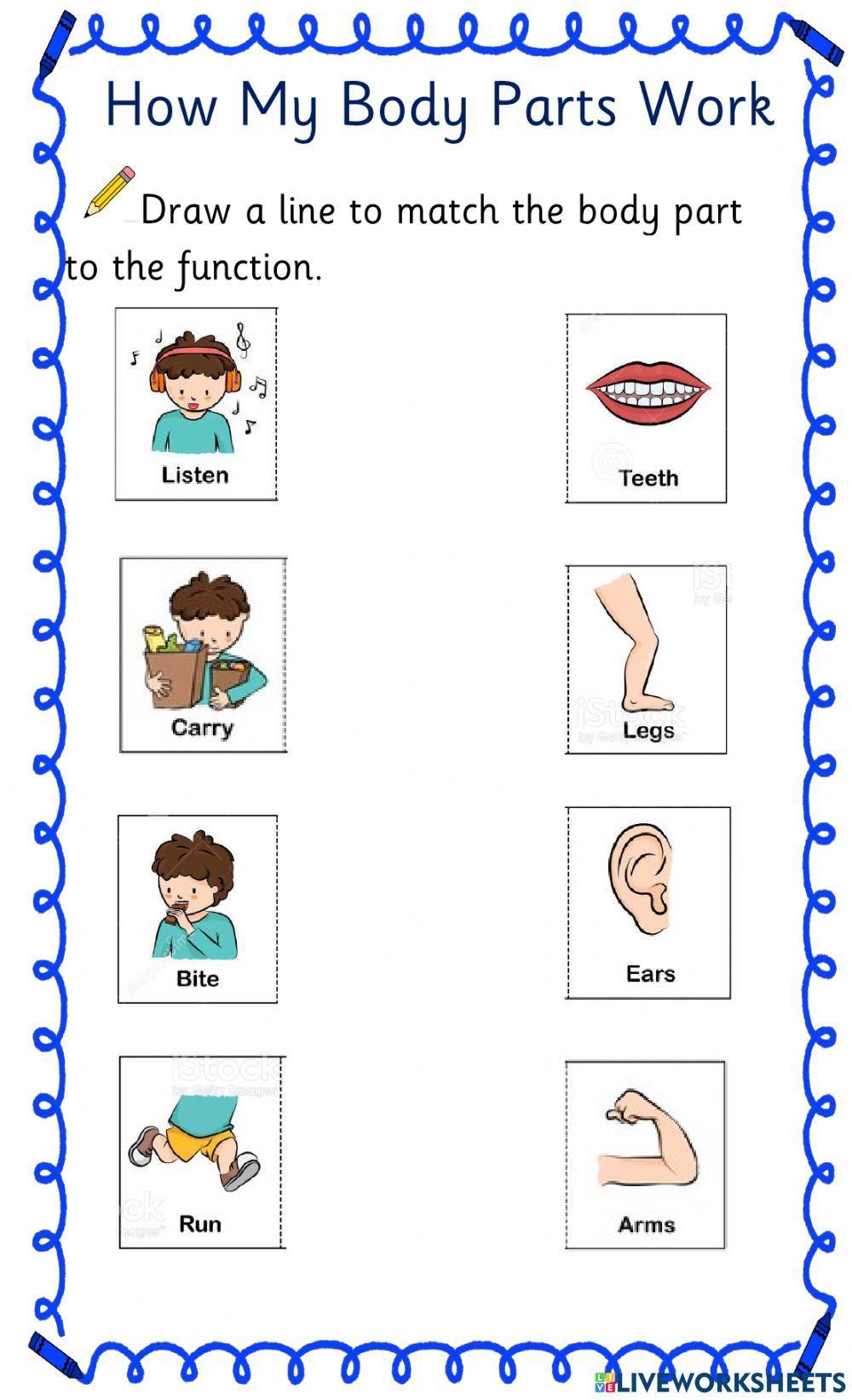 body-parts-function-liveworksheets-1413756