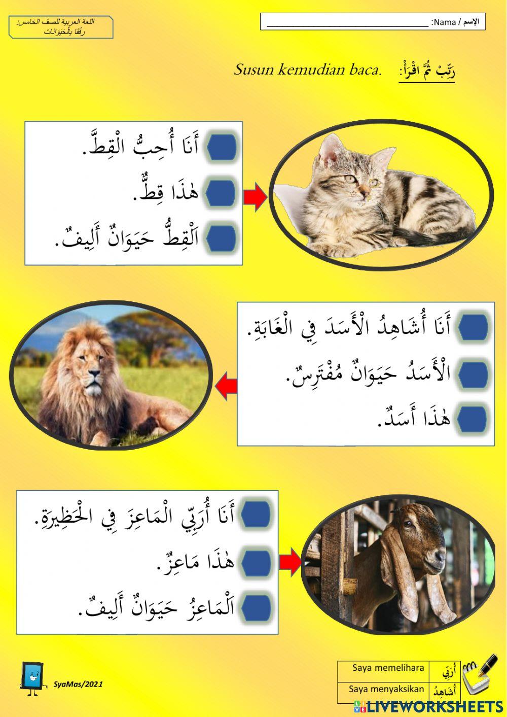 رفقا بالحيوانات