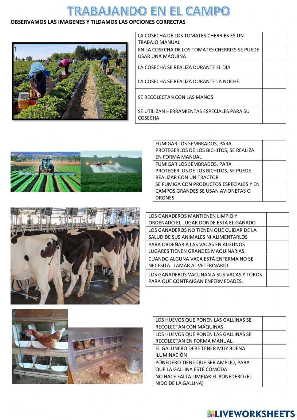 Trabajo Rural y Trabajo Urbano