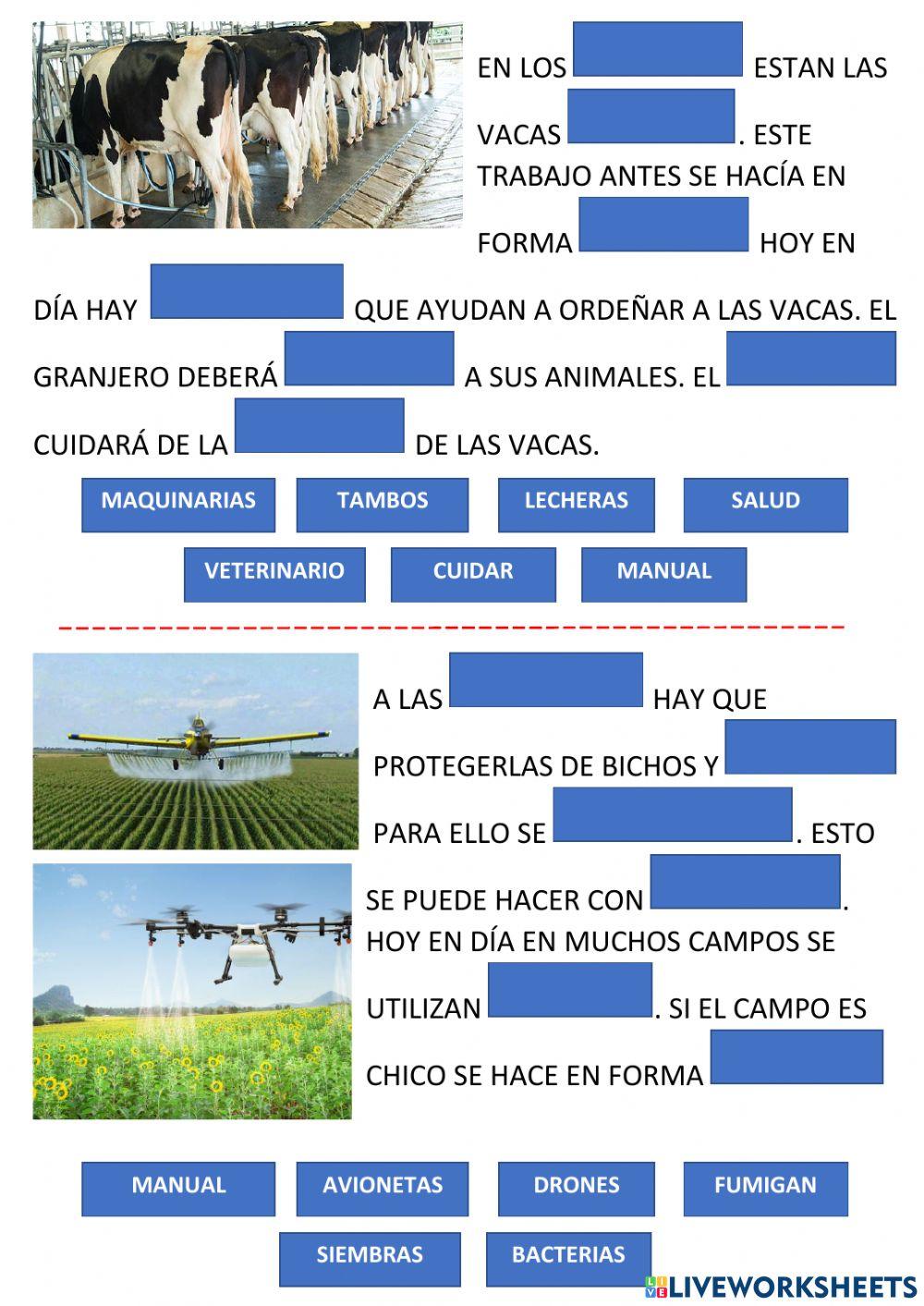 Trabajo Rural y Trabajo Urbano