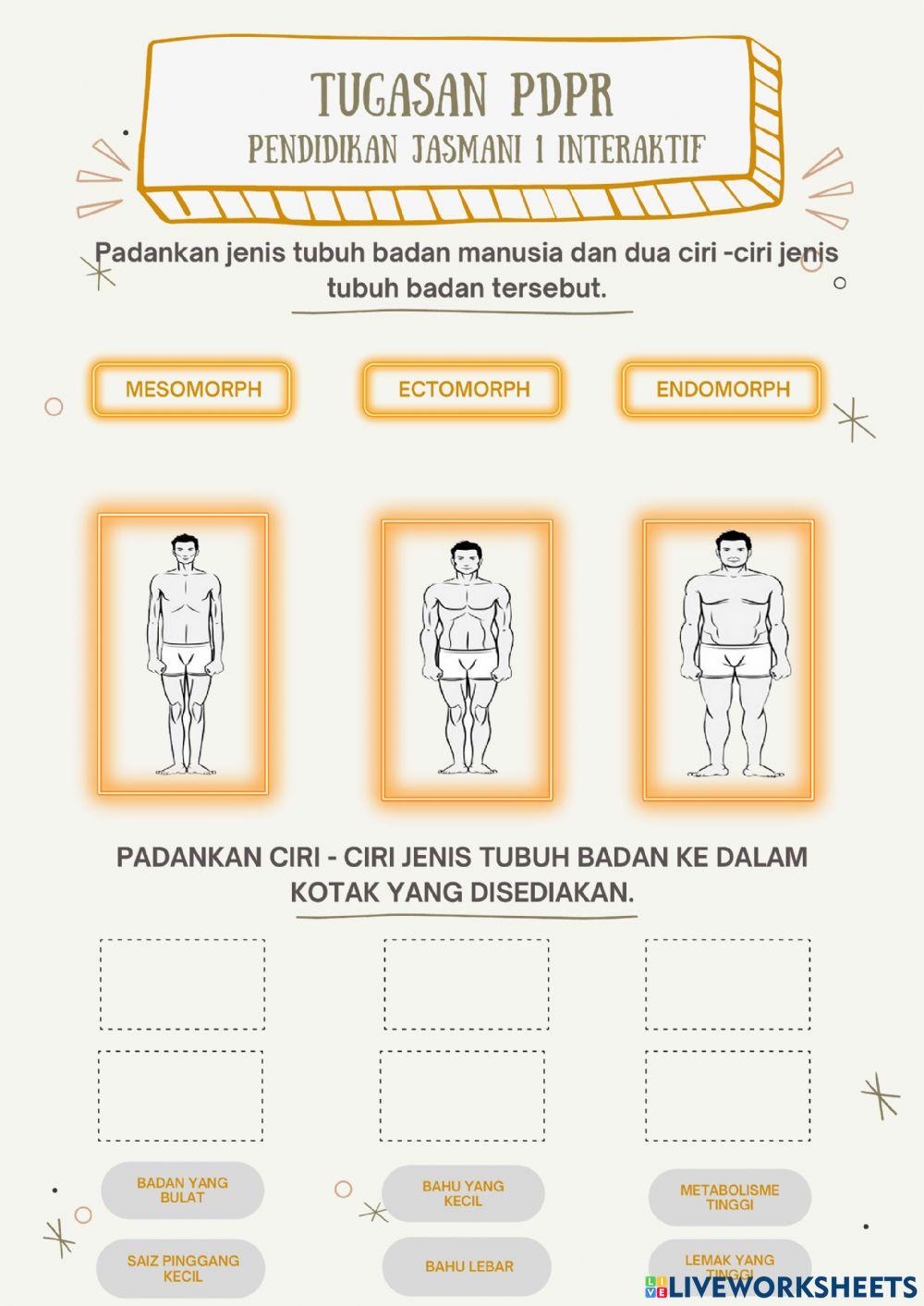 Pendidikan kesihatan