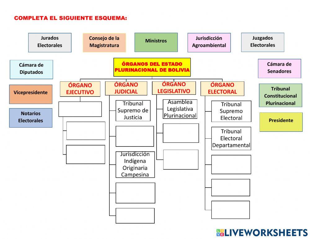 Órganos del estado plurinacional de bolivia