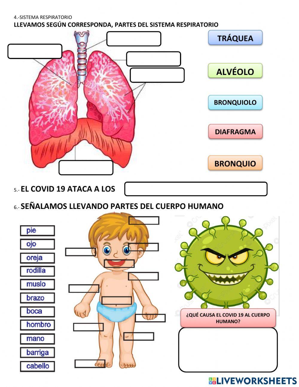 Evaluación de Ciencias Naturales
