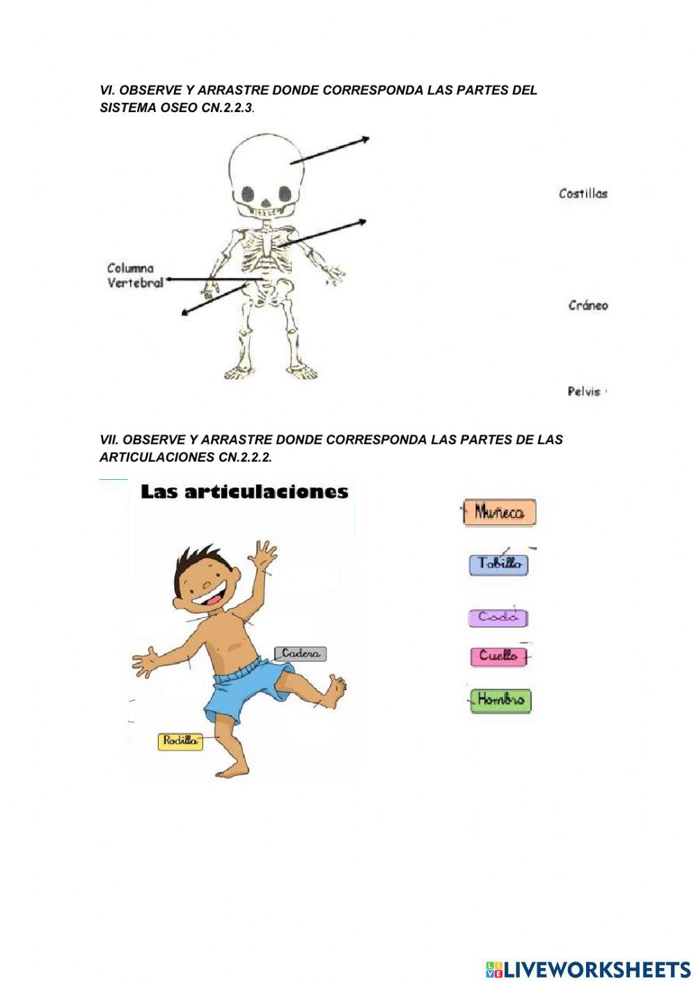 Prueba de diagnóstico
