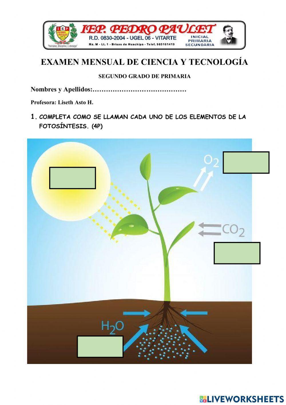 EXAMEN DE CIENCIA Y TECNOLOGÍA 2do GRADO MES DE AGOSTO