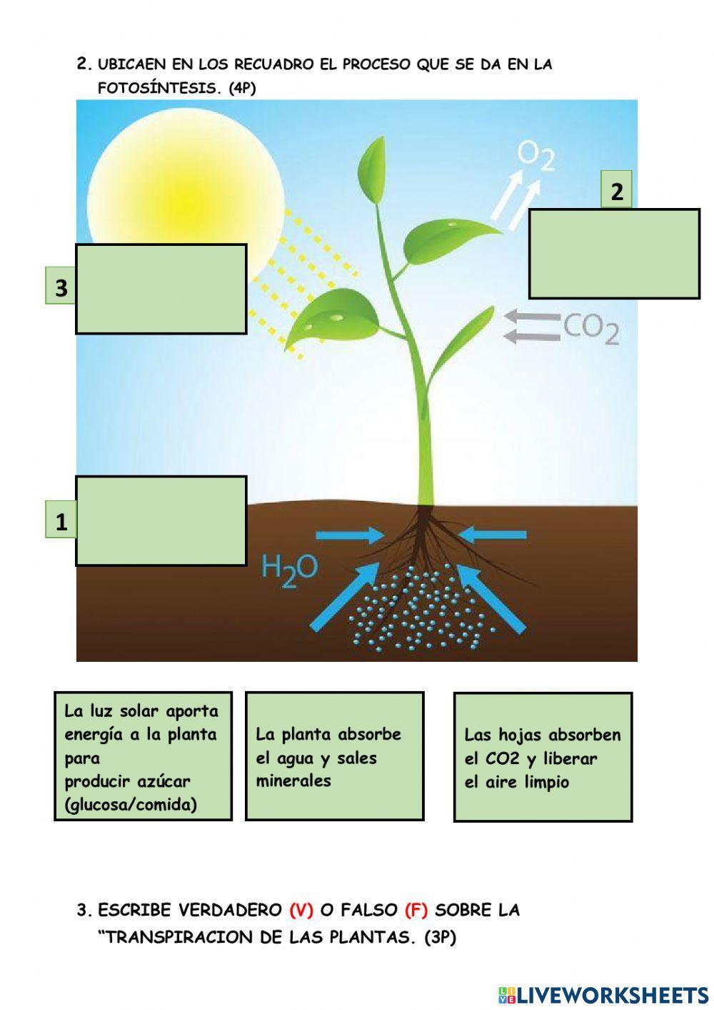 EXAMEN DE CIENCIA Y TECNOLOGÍA 2do GRADO MES DE AGOSTO