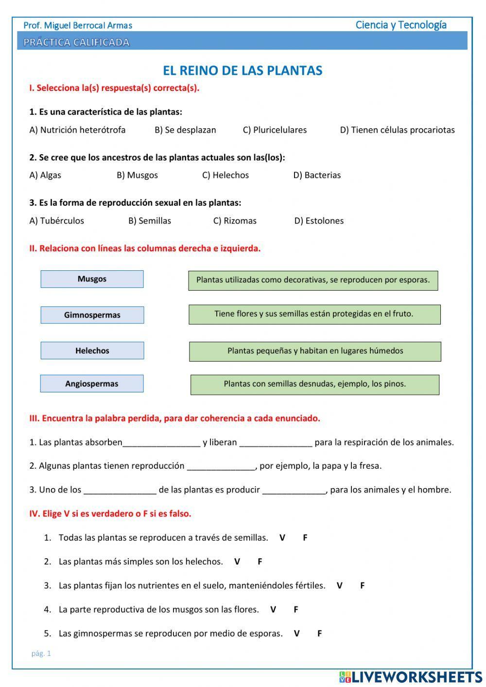 El reino de las plantas