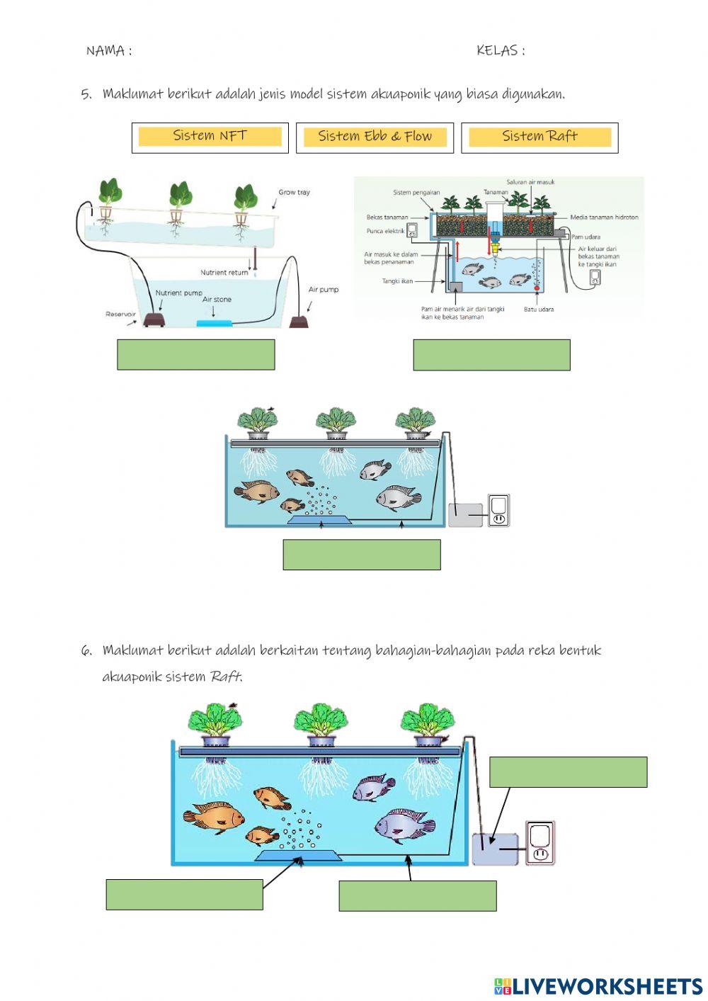 Rbt akuaponik PENGUKUHAN