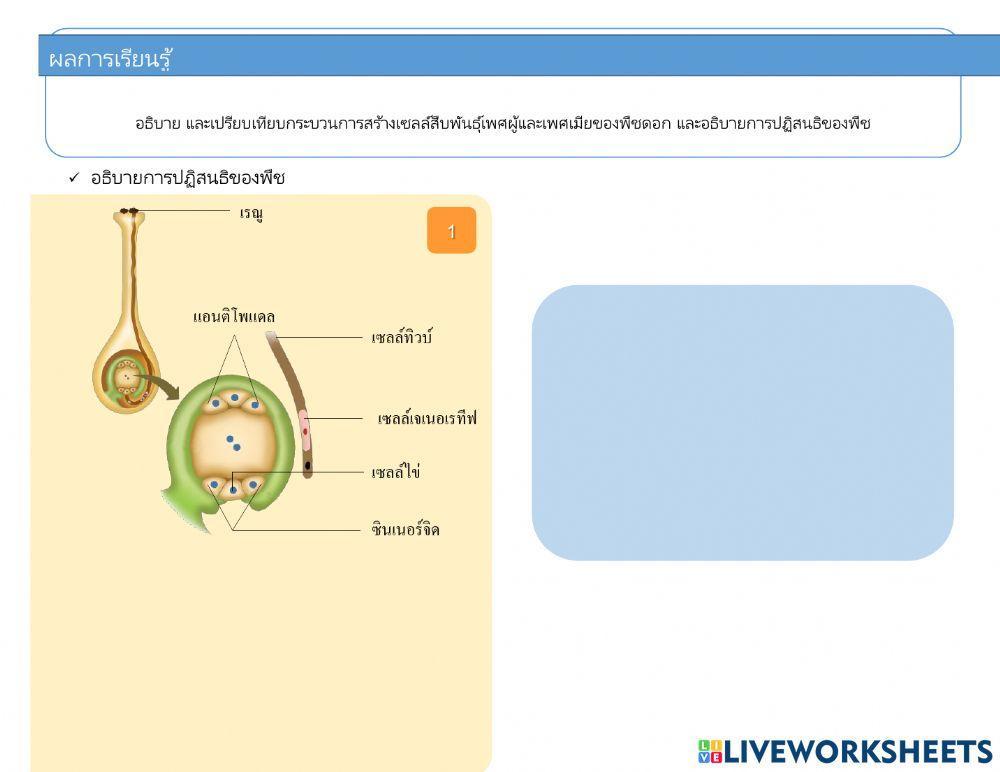 ม.5 แบบฝึกหัดเรื่อง การสืบพันธุ์ของพืชดอก