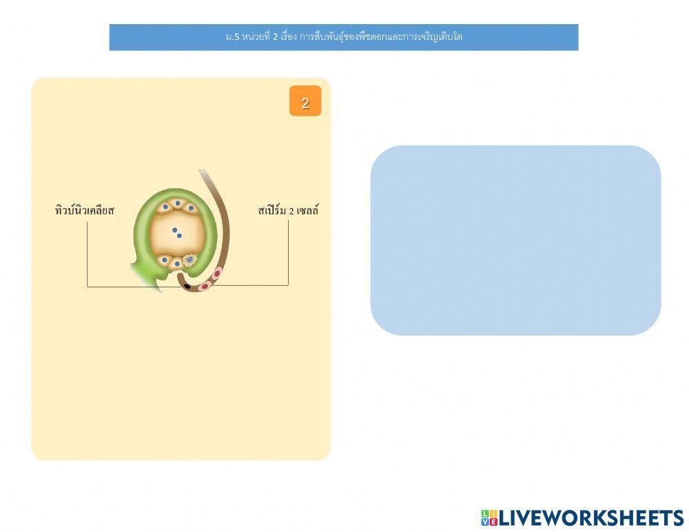 ม.5 แบบฝึกหัดเรื่อง การสืบพันธุ์ของพืชดอก