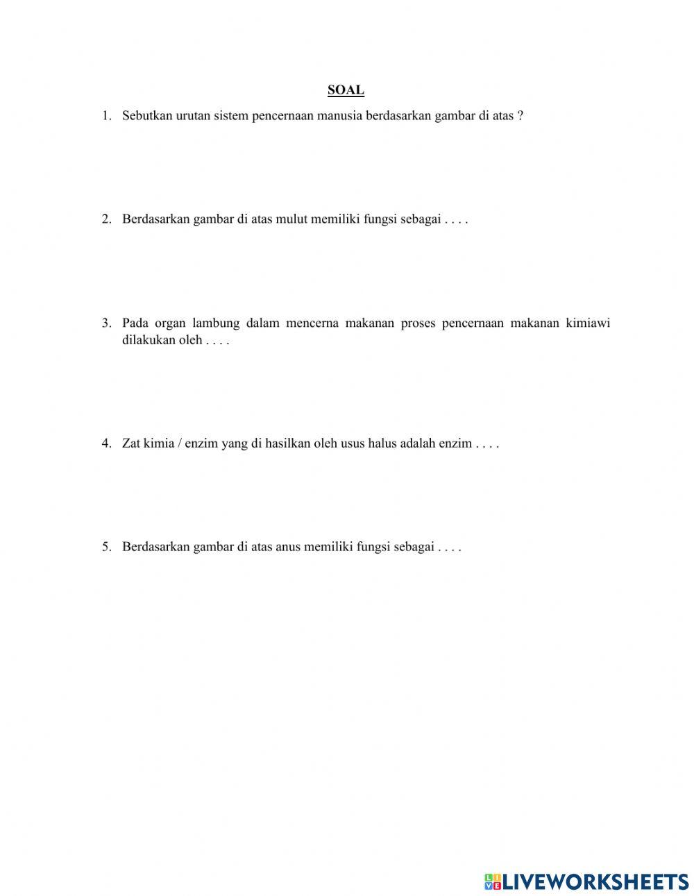 LKPD Sistem Pencernaan