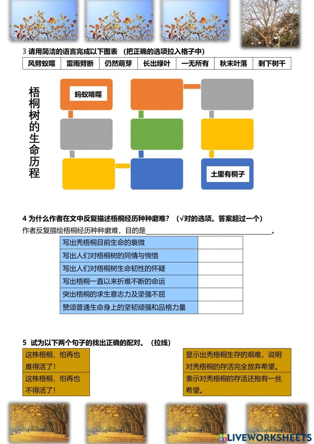中四华文《秃的梧桐》