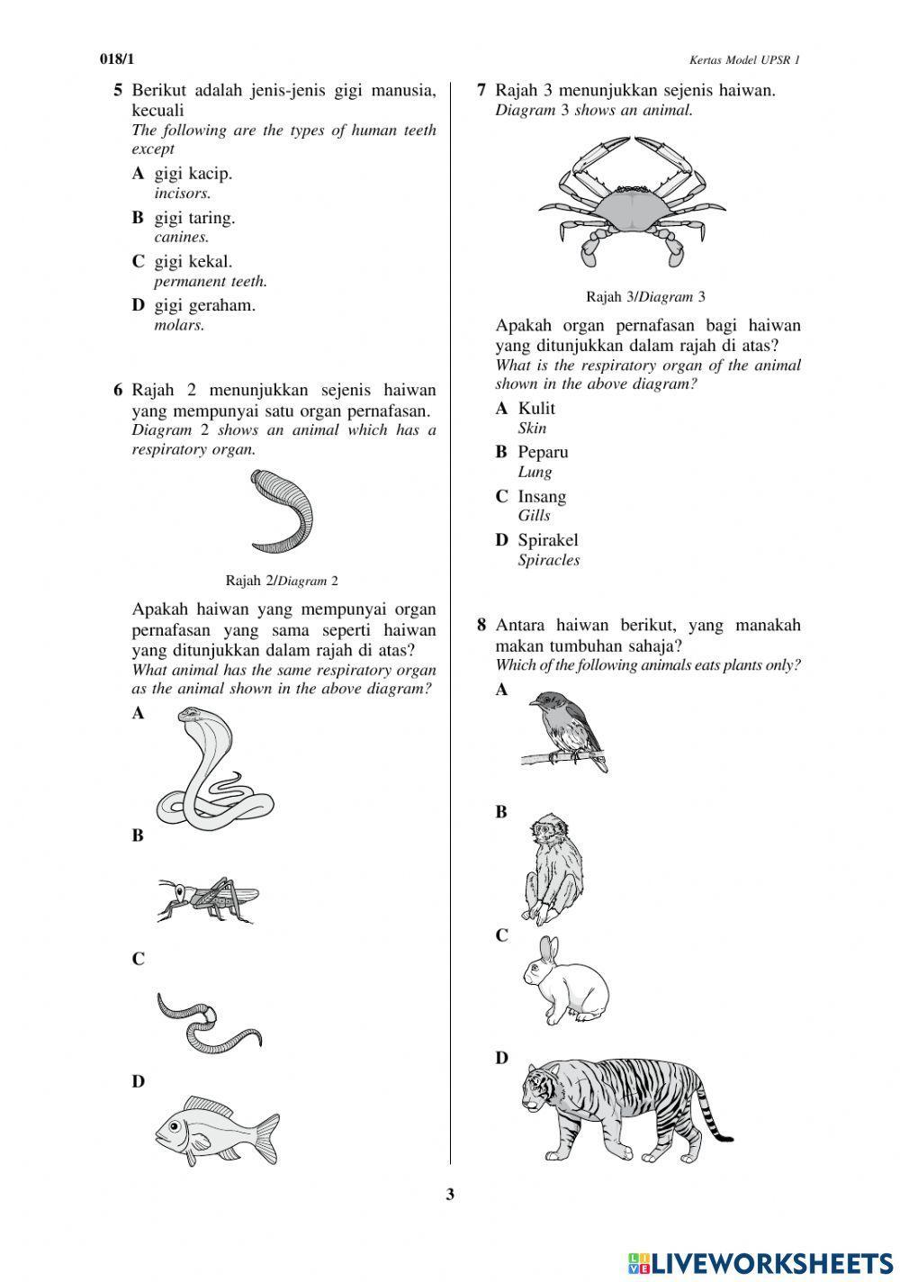 Soalan Kertas 1 Tahun 6