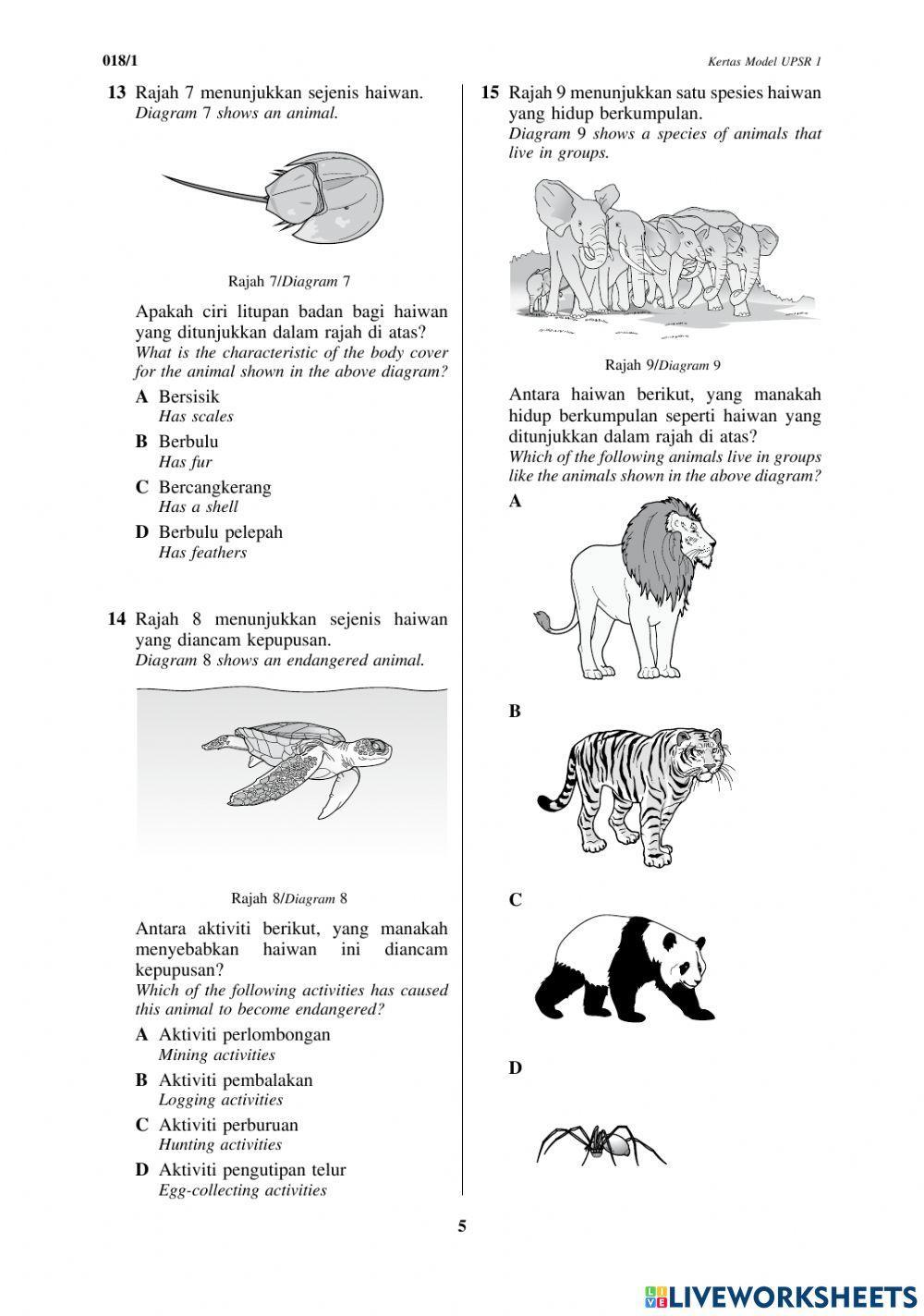 Soalan Kertas 1 Tahun 6