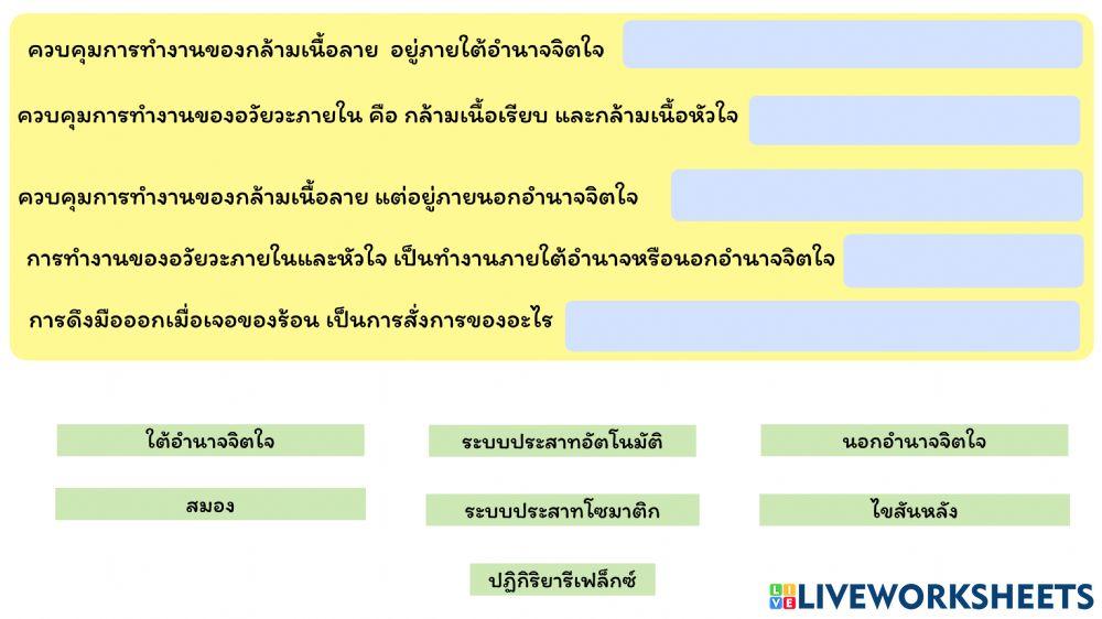 รวมระบบ2